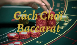 cach-choi-baccarat.png